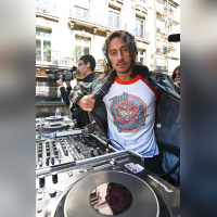 techno, parade, techno parade 2008