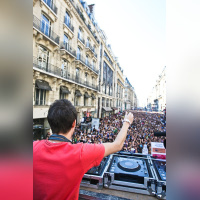 techno, parade, techno parade 2008