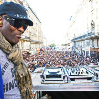 techno, parade, techno parade 2008