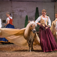 Peau d'âne au domaine de Chantilly