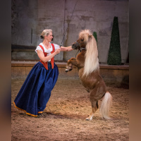 Peau d'âne au domaine de Chantilly
