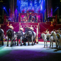 Surprise au Cirque d'Hiver, les photos