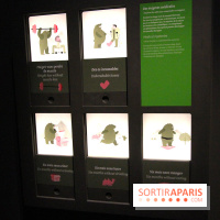 Espèces d'Ours, l'expo au Muséum National d'Histoire Naturelle