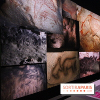 Espèces d'Ours, l'expo au Muséum National d'Histoire Naturelle