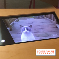 Viral, l'expo au Palais de la Découverte