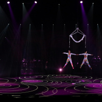 Cirkacuba au Cirque Phénix