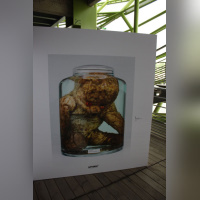 Biennale des Créateurs d'Images