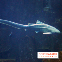 Aquarium de Paris Décembre 2016