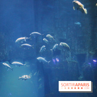 Aquarium de Paris Décembre 2016