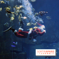 Aquarium de Paris Décembre 2016