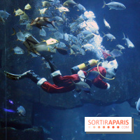 Aquarium de Paris Décembre 2016