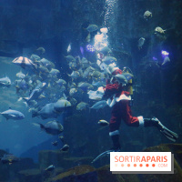 Aquarium de Paris Décembre 2016