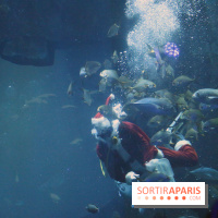 Aquarium de Paris Décembre 2016