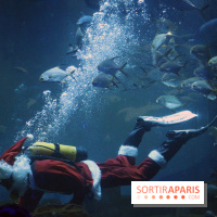 Aquarium de Paris Décembre 2016