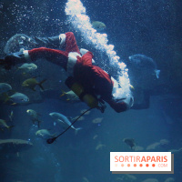Aquarium de Paris Décembre 2016