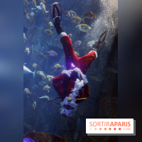 Aquarium de Paris Décembre 2016