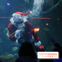 Aquarium de Paris Décembre 2016