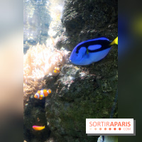 Aquarium de Paris Décembre 2016