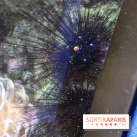 Aquarium de Paris Décembre 2016