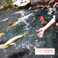 Aquarium de Paris Décembre 2016