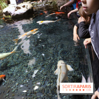 Aquarium de Paris Décembre 2016