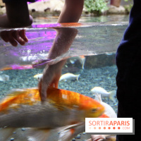 Aquarium de Paris Décembre 2016