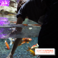 Aquarium de Paris Décembre 2016