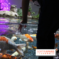 Aquarium de Paris Décembre 2016