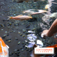 Aquarium de Paris Décembre 2016