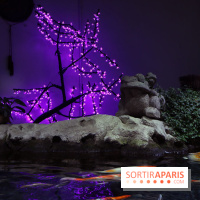 Aquarium de Paris Décembre 2016