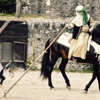 Les Aigles des Remparts de Provins 2017