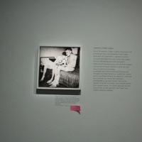 exposition C'étaient des enfant à l'hotel de Ville | Sortiraparis.com