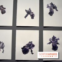 Exposition Jardins au Grand Palais