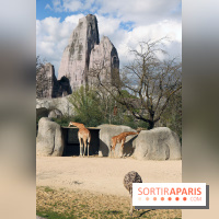 Zoo de Vincennes, Parc Zoologique de Paris 2017