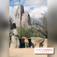 Zoo de Vincennes, Parc Zoologique de Paris 2017