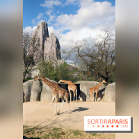 Zoo de Vincennes, Parc Zoologique de Paris 2017