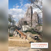Zoo de Vincennes, Parc Zoologique de Paris 2017