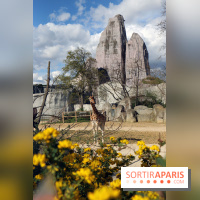 Zoo de Vincennes, Parc Zoologique de Paris 2017