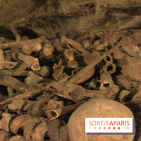 Les Catacombes de Paris