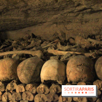 Les Catacombes de Paris