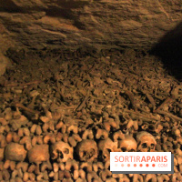 Les Catacombes de Paris