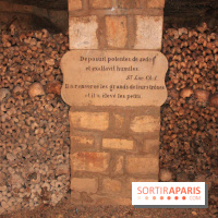 Les Catacombes de Paris