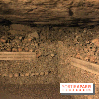 Les Catacombes de Paris