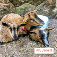 Aventure Floréval, le parcours en pleine nature