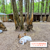 Aventure Floréval, le parcours en pleine nature