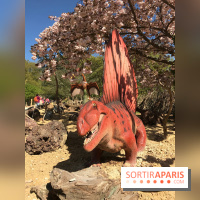 DinoZOOre II au Zoo de Thoiry, album 2