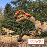 DinoZOOre II au Zoo de Thoiry, album 2