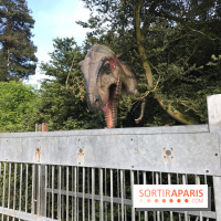 DinoZOOre II au Zoo de Thoiry, album 2