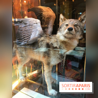 Le Tea Time italien du Caffè Stern