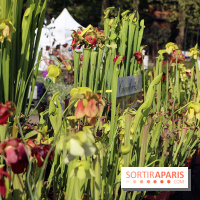 Jardins en Seine 2017